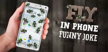 Fly in phone funny joke