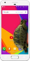Turtle Walks in Phone joke পোস্টার
