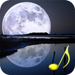 Sound of nature : Relax Night