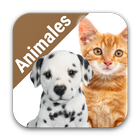 El reino animales para niños biểu tượng