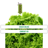 Just Down Stairs Order Online