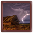 Night Storm Walk APK