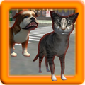 Real Cat Simulator : Free Roam
