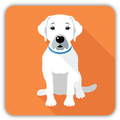 Hundespiele