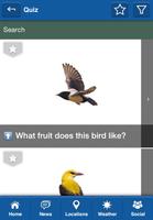 BirdWING स्क्रीनशॉट 3