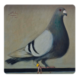 Guide Pouter Pigeons biểu tượng