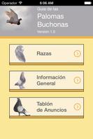 Guía de las Palomas Buchonas poster