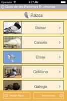 Pigeons Guide de Pouter capture d'écran 1