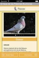 Pigeons Guide de Pouter capture d'écran 2