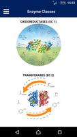 Biocascades पोस्टर