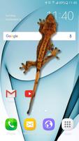 Gecko im Handy Witz Plakat