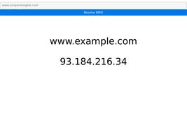 Ampare DNS Resolver screenshot 1