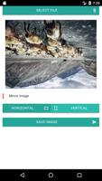 Ampare Image Mirror Free poster