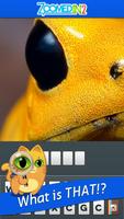 Zoomed In 2 - Photo Word Game پوسٹر