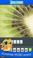 Zoomed In 2 - Photo Word Game ภาพหน้าจอ 2