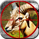 APK Animal Hunting Mission : African Wildlife Survival