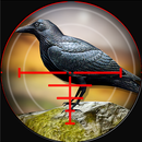 Forest Crow Hunter 3D - Sniper Shooting Simulation APK