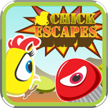 Chick Escapes