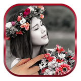 Auto Color Splash icon
