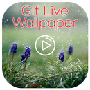 GIF Live Wallpaper APK