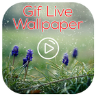 GIF Live Wallpaper icône