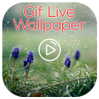 GIF Live Wallpaper アイコン