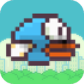 Bird Adventure