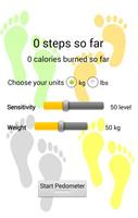 Walking Pedometer poster