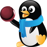 Penguin Air Ball