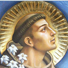 Gran san Antonio de Padua icône