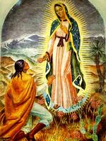 Las Virgenes Guadalupe syot layar 3