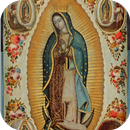 Nuestra Señora de Guadalupe APK