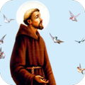Novena al Santo Francisco de Asis