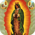 آیکون‌ Novena de la Virgen de Guadalupe