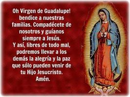 Novena de la Virgen de Guadalupe تصوير الشاشة 3