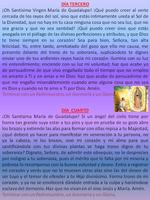 Novena de la Virgen de Guadalupe poster