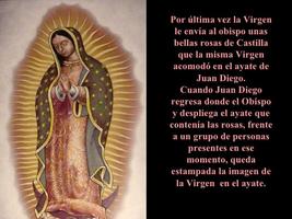 Novena de la Virgen de Guadalupe imagem de tela 2