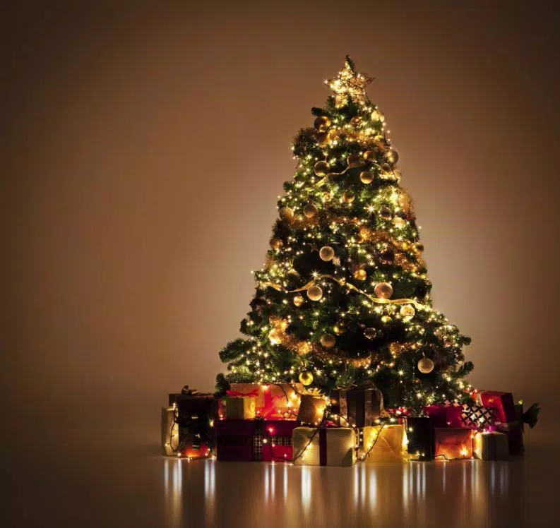 Fondos de pantalla arboles de navidad APK for Android Download Fondos de pantalla arboles de navidad APK for Android Download