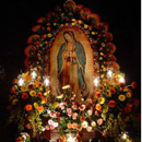 Fondos de virgen de guadalupe APK