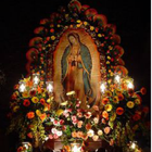 Fondos de virgen de guadalupe icono