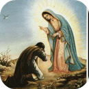 Juan Diego y la Virgen de Guadalupe aplikacja