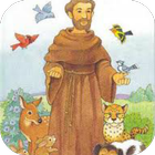 La novena a Santo Francisco de Asis icon