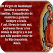 La novena de la virgen de Guadalupe