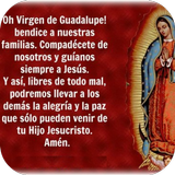 La novena de la virgen de Guadalupe ikona