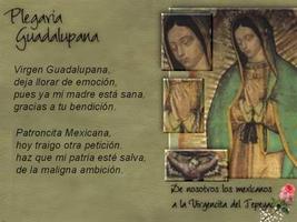 La novena de la virgen de Guadalupe ảnh chụp màn hình 2