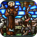 San Francisco y los franciscanos APK