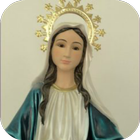 Virgen Maria Auxiliadora ícone
