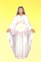 Virgen Maria Auxiliadora imagem de tela 1