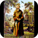 Santisimos Franciscanos APK