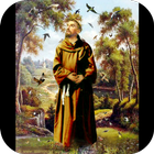 Tesoro Franciscano icon